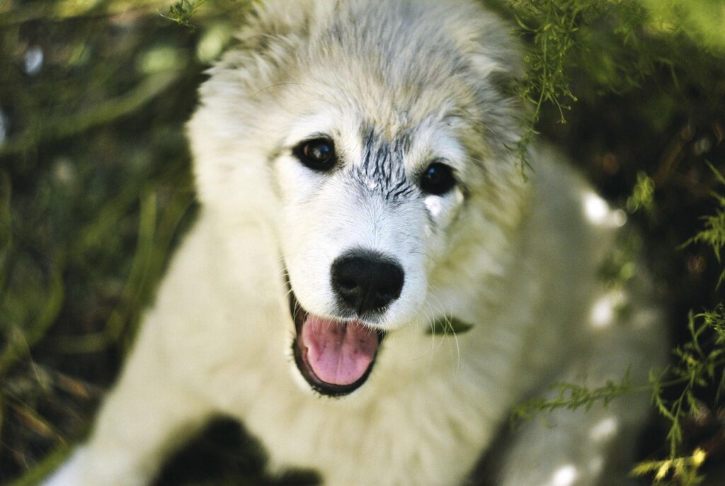 VIO脱毛後に使いたいデリケートミルクのおすすめは？