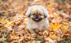 デリケートゾーンの黒ずみは出産後にどう改善する？