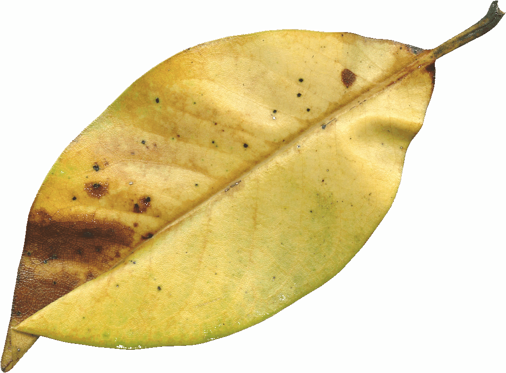 デリケートゾーンの乾燥が気になる季節の変化にどう対処すればいい？