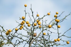 デリケートゾーンの乾燥を防ぐために最適な下着の素材は？