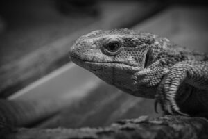 VIOケアの効果についての口コミはどうなっているの？