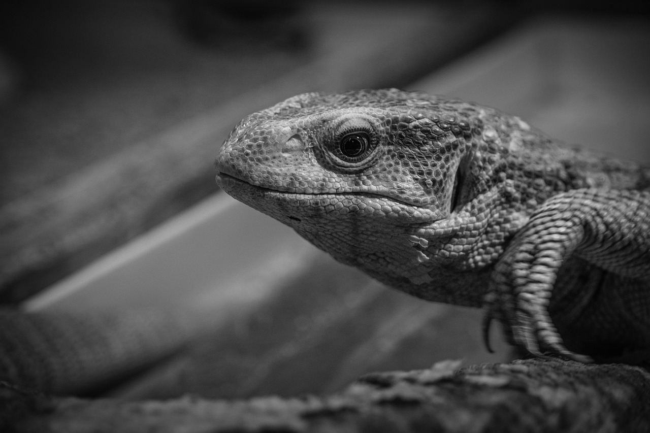 VIOケアの効果についての口コミはどうなっているの？