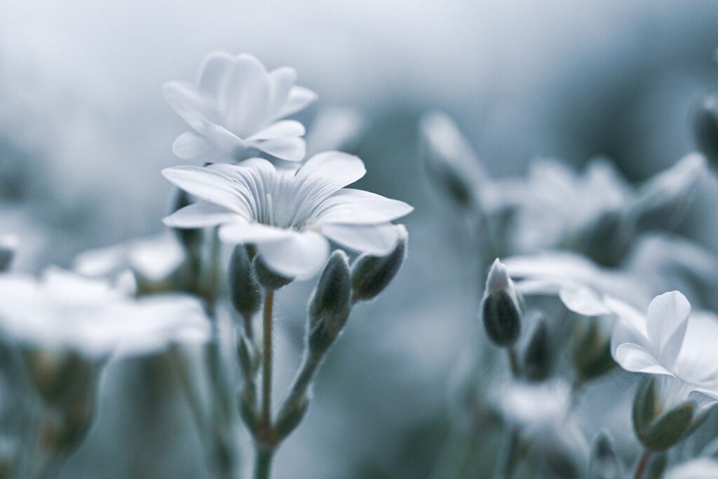 デリケートゾーンのケアにおすすめの方法は？