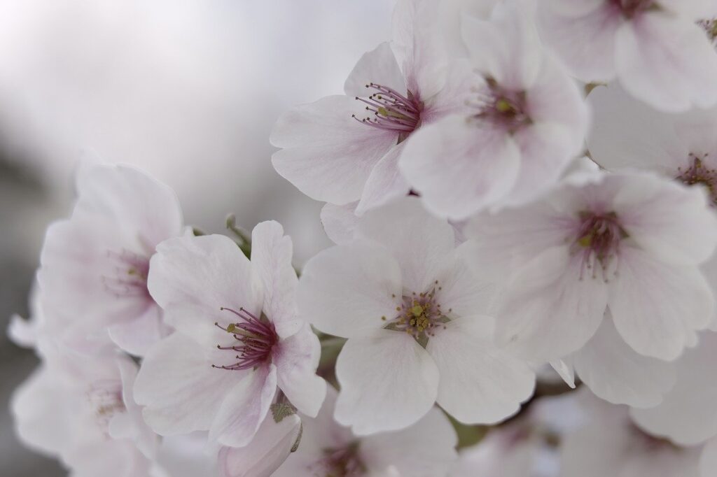 デリケートゾーン美白ジェルの使用感はどうなのか？