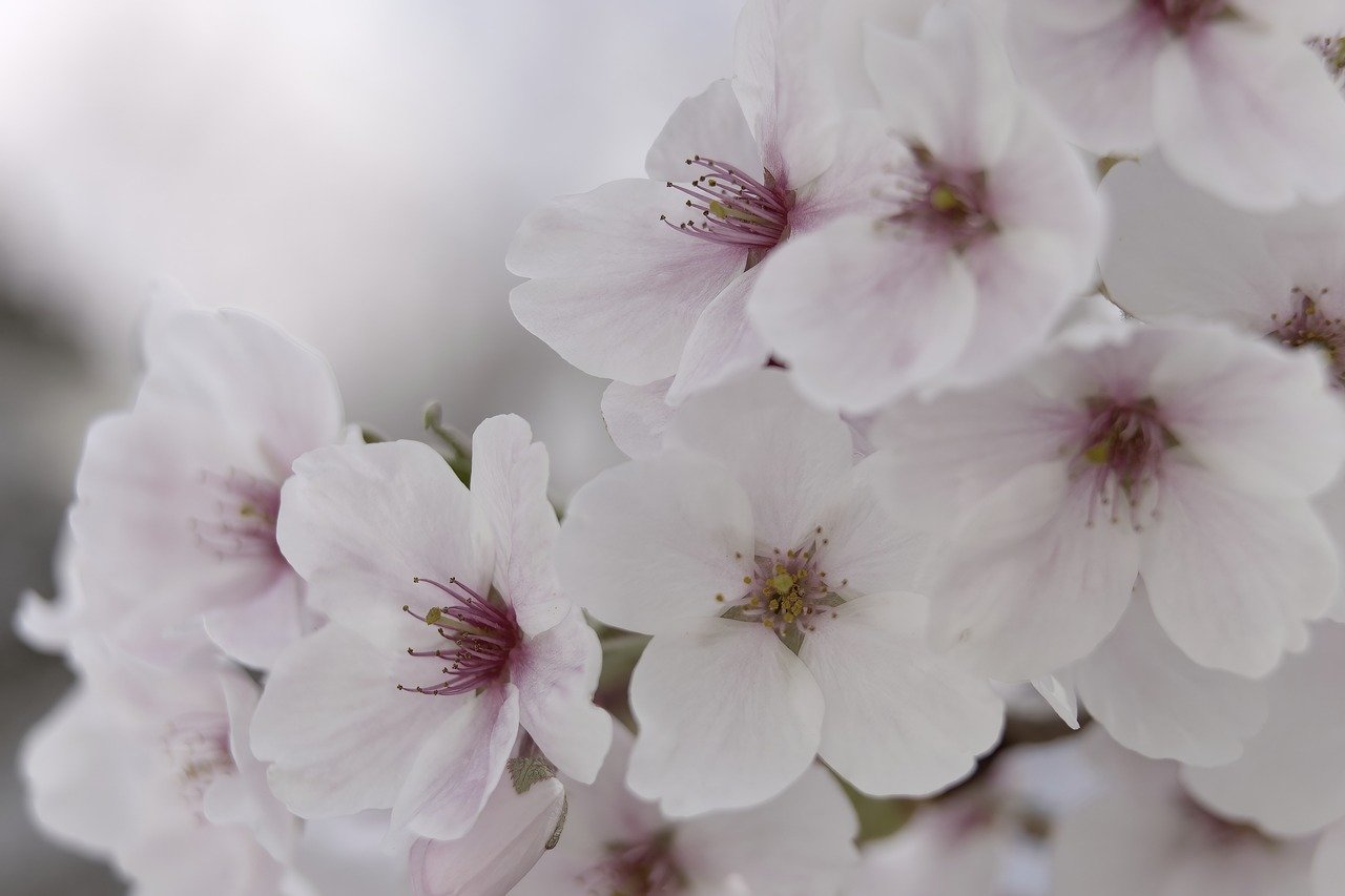 デリケートゾーン美白ジェルの使用感はどうなのか？