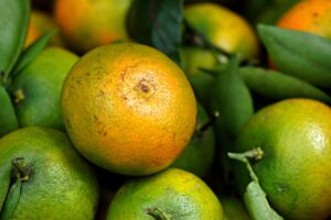 デリケートゾーンに最適な低刺激オーガニック製品とは？