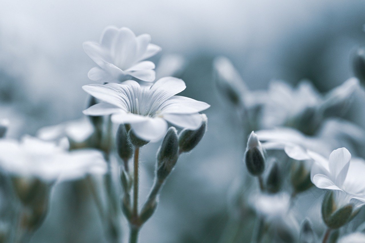 デリケートゾーンの保湿と美白に効果的なケア方法は？