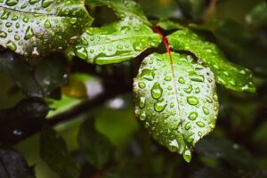 膣保湿をしないことの影響とは何ですか？