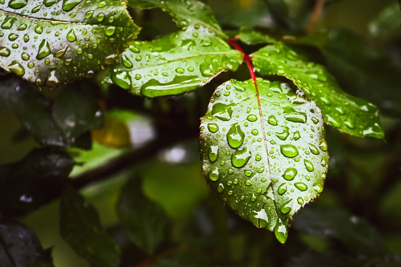 膣保湿をしないことの影響とは何ですか？