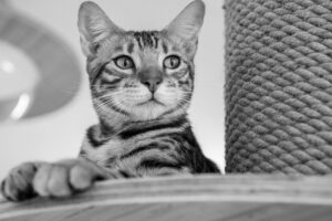 VIOの美白と匂いケアに効果的な方法は？