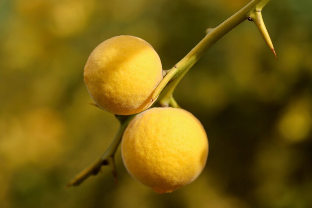 VIOソープで低刺激なおすすめ商品は？