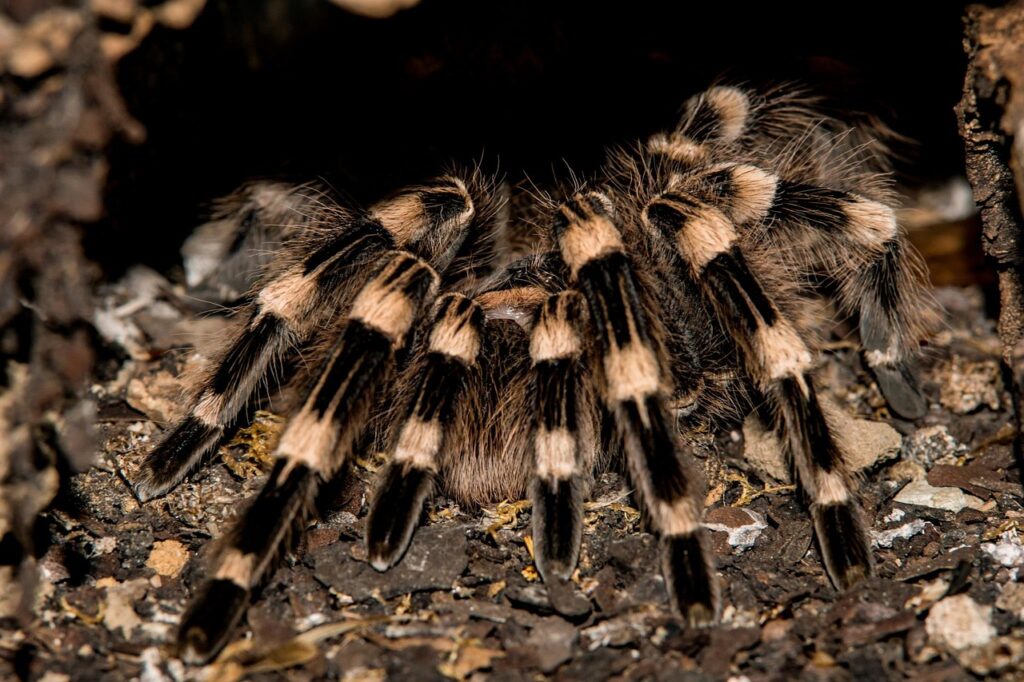 VIOのヒリヒリ感を和らげるための対策は？