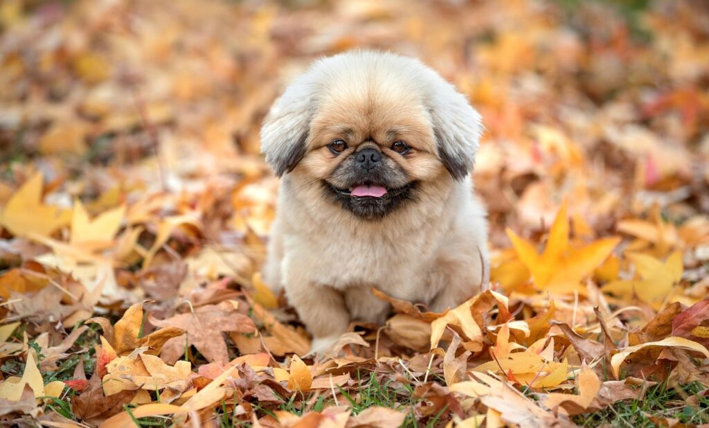 VIOの蒸れや匂いを解消するための効果的な対策は？