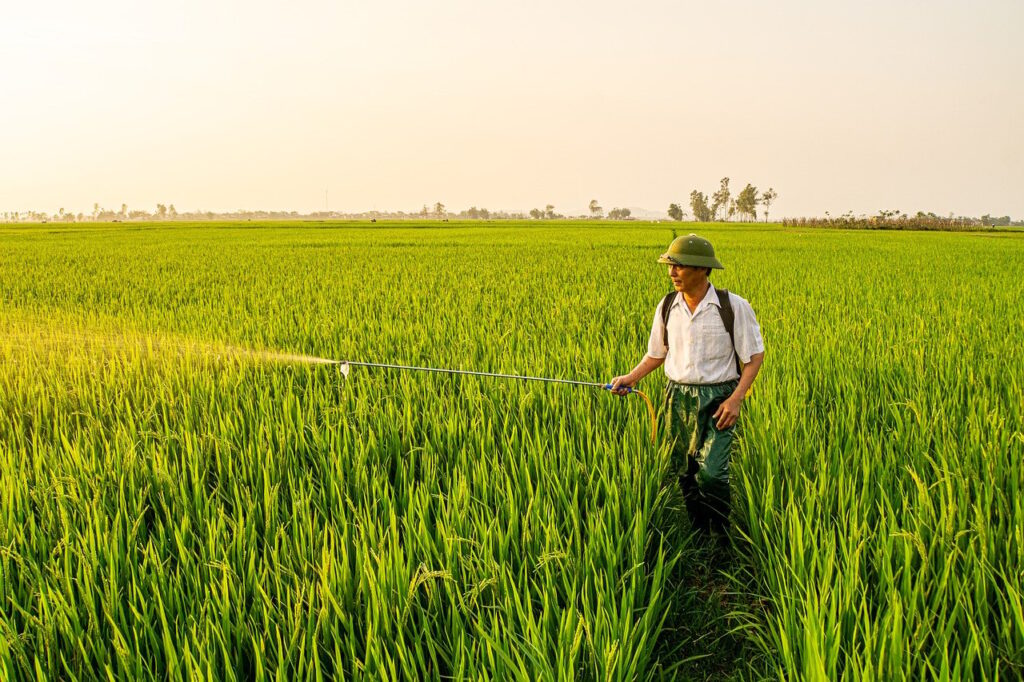 専門家が推奨する効果的なダイエット法とは？