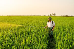 専門家が推奨する効果的なダイエット法とは？