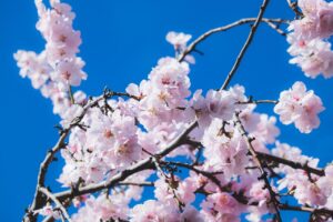 VIOの匂いを解消するケアグッズの人気ランキングは？