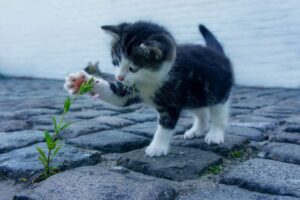 VIOの匂いケアにはシートを使う方法が効果的？