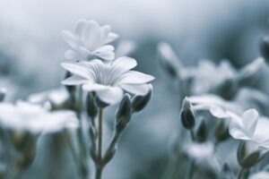 デリケートゾーンの洗い方、正しい方法はこれで決まり？