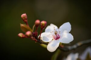 デリケートゾーンの臭いケアに最適な商品はどれがおすすめ？