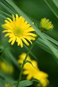 VIOの黒ずみ悩みを解消する方法は？