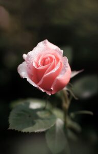 デリケートゾーンの臭いを予防するために知っておくべきことは？
